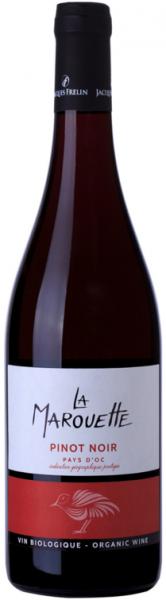 Pinot Noir bio Frankreich