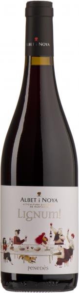 spanischer Barrique Rotwein Albet y Noya